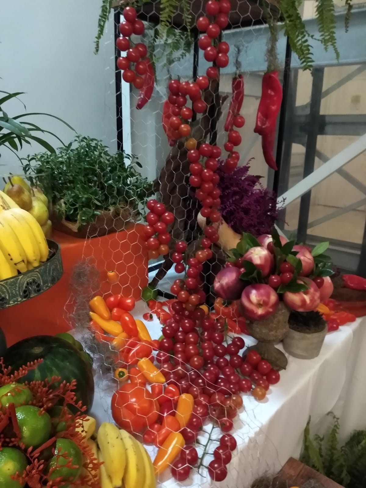 5c1b9a5c-0f5e-46fd-b5c6-c149aed69e4b